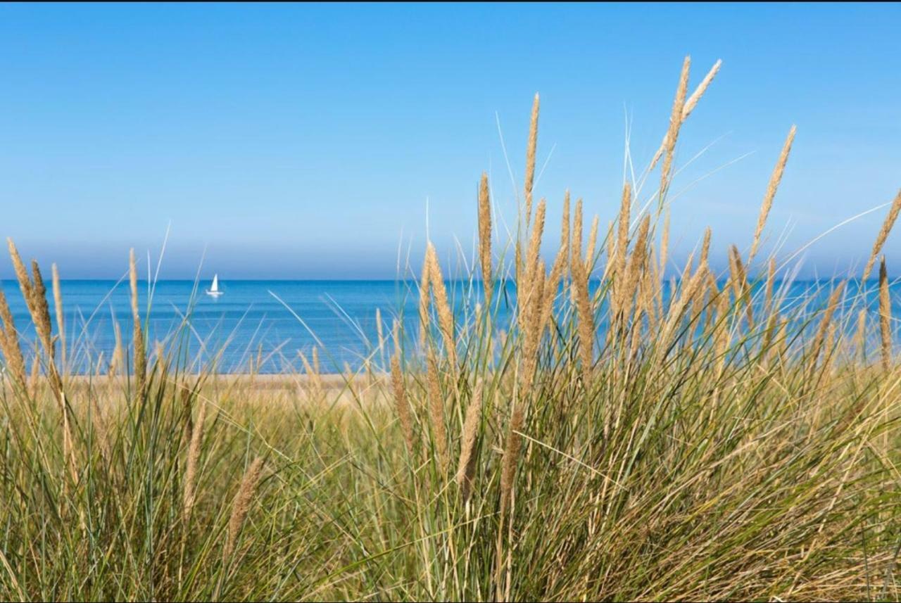 Viale Villa Egmond aan Zee Exterior photo